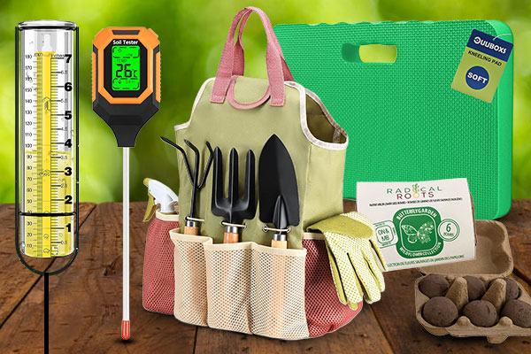 Curated Garden Prize Packs